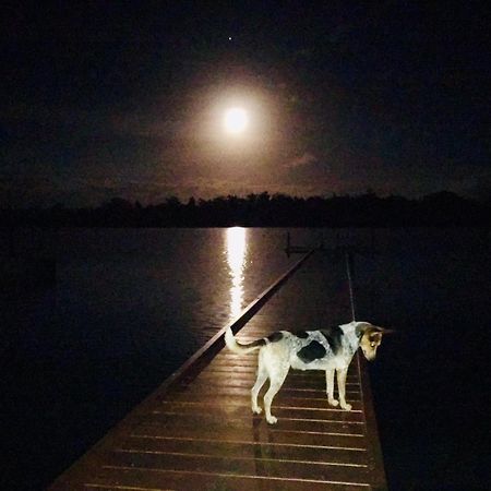 Seachange Lodge พอร์ตวิลา ภายนอก รูปภาพ
